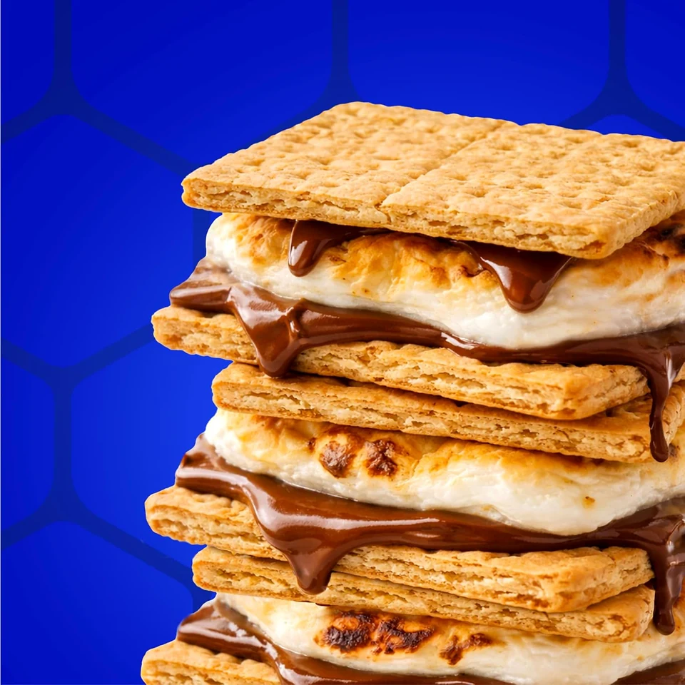 Honey Maid Honey Grahams Party Size, toasted marshmallow and chocolate s’mores